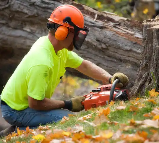 tree services Bel-Ridge